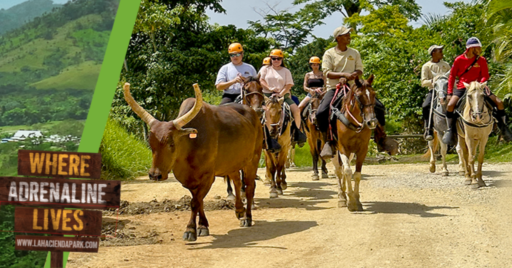 Paseos a caballo Punta Cana