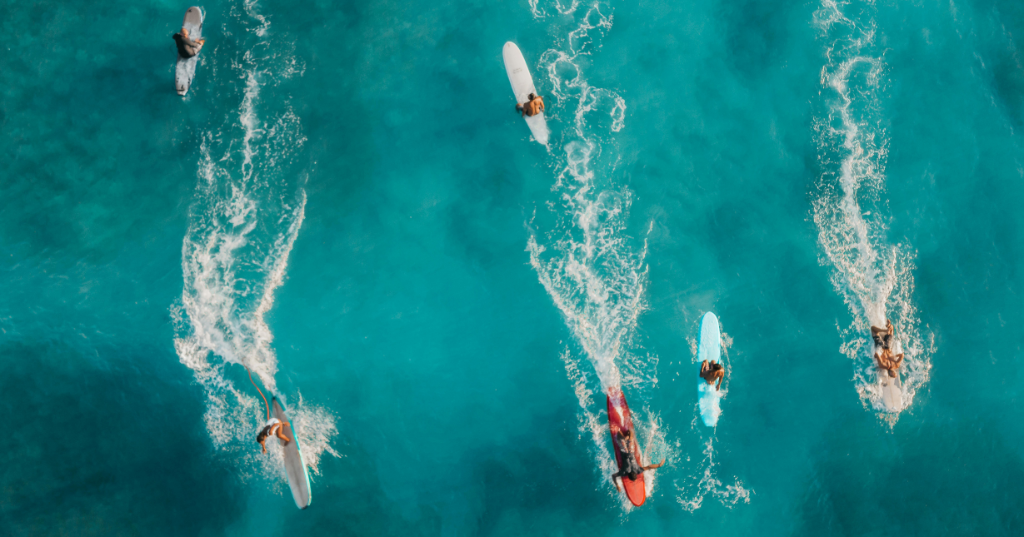 Activities and water parks to enjoy Punta Cana 