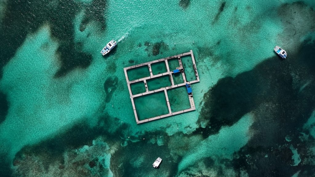 ¿Dónde comprar tour en Punta Cana?