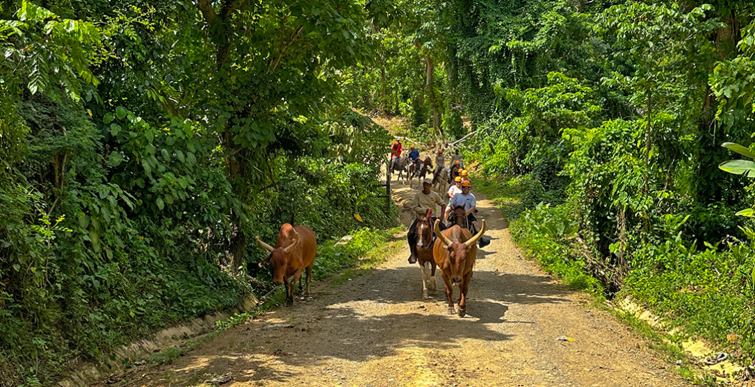 La Hacienda Park VIP